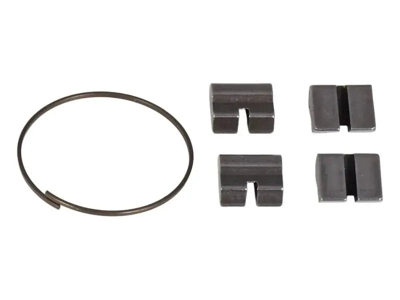 Salt "EX Cassette" Spring/Pawl Set Salt