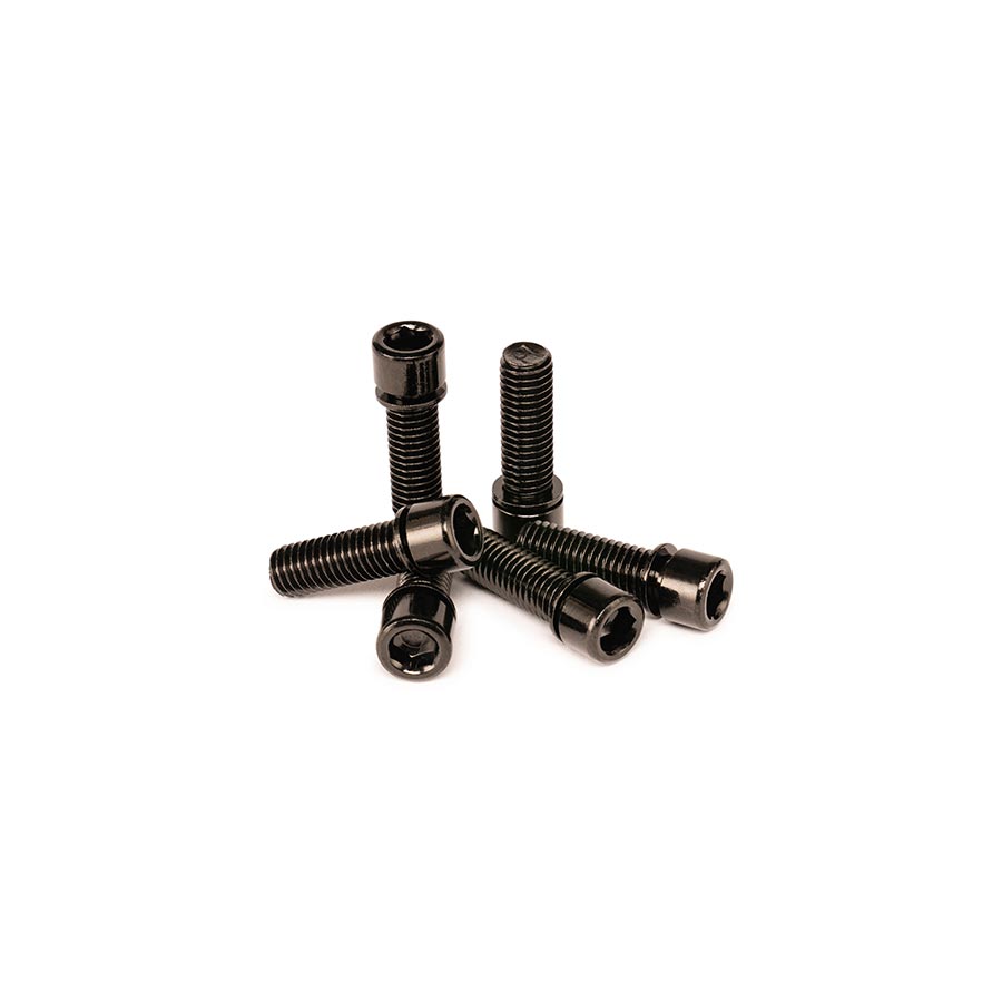 Salt 6-Pack 6mm Hex Stem Bolts M8x25mm Salt