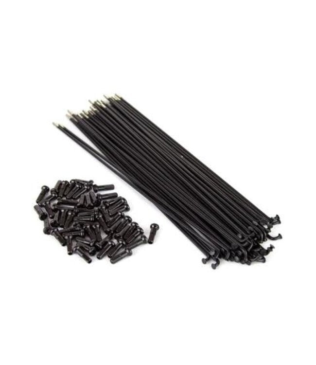 TALL ORDER DOUBLE BUTTED SPOKES