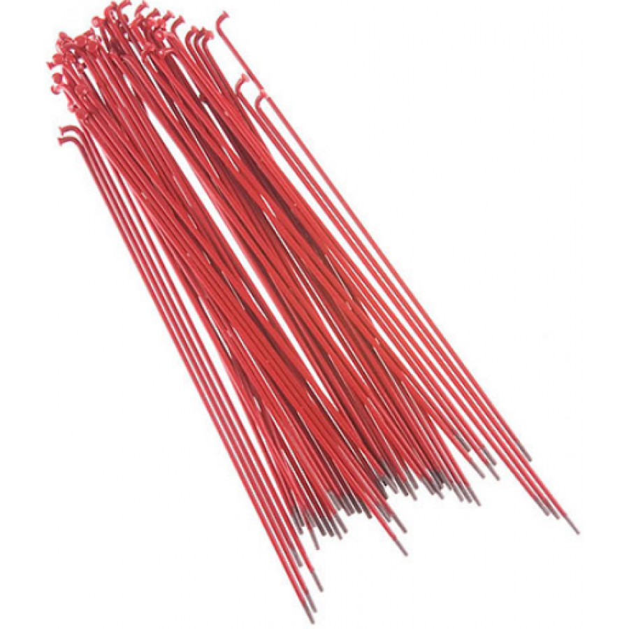 Primo Coloured Spokes