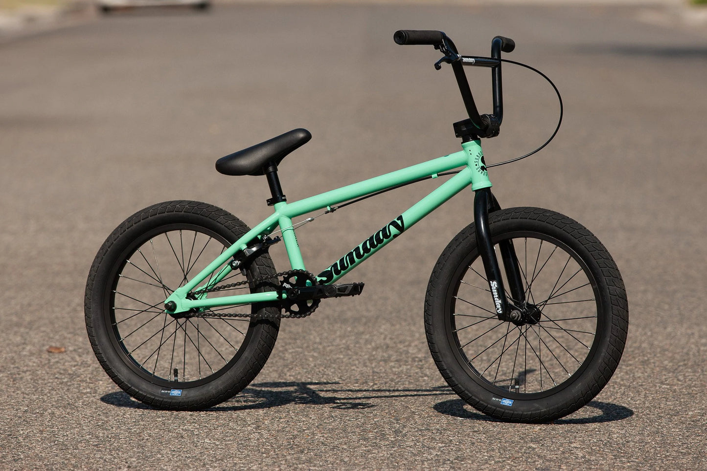 Sunday Primer 18"