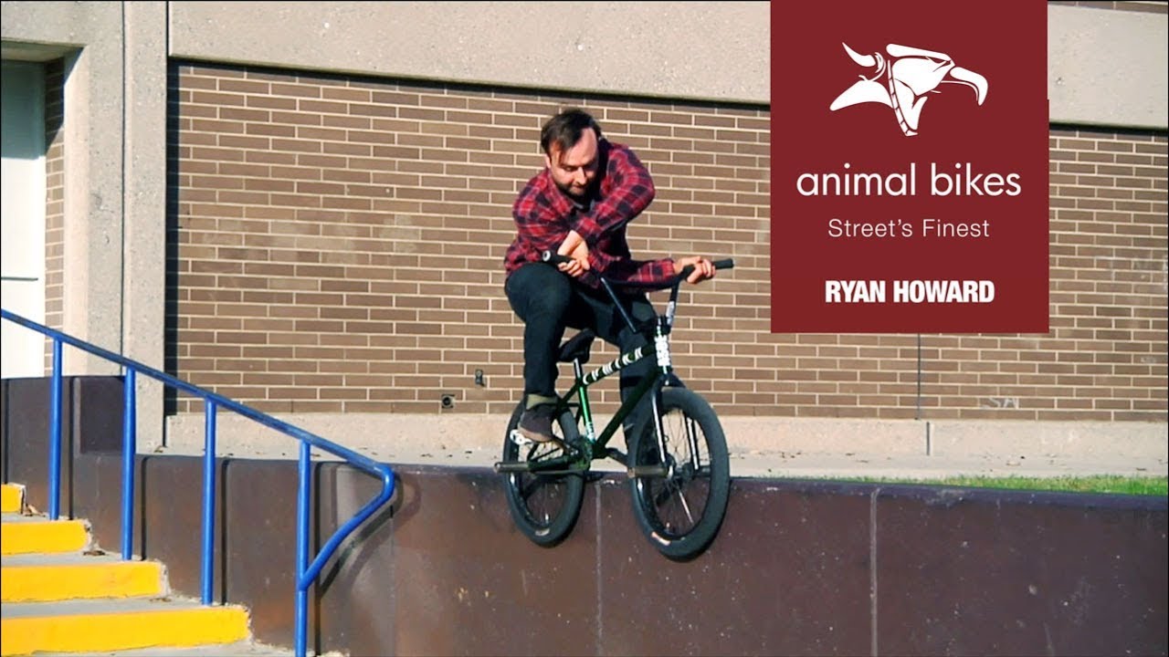 Animal Bikes