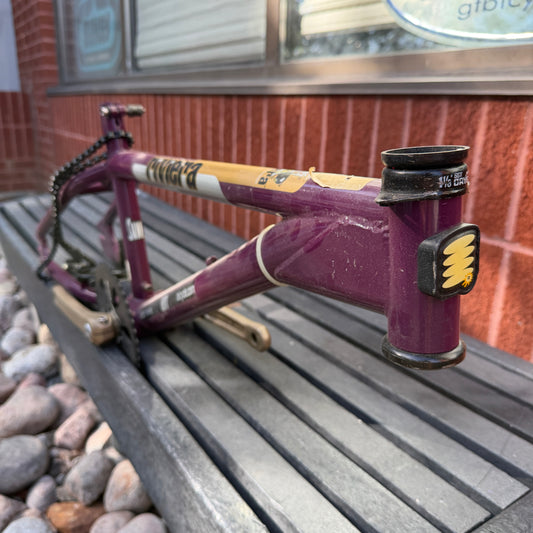 Used Sunn Riviera Flatland Mid School Frame