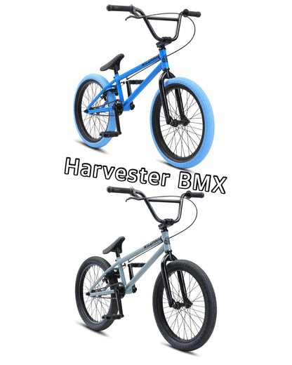 SE Bikes Wildman 20"