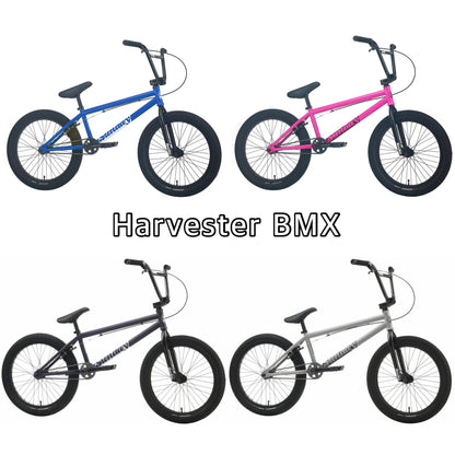 2025 Sunday Primer Sunday