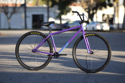 2025 Sunday High C 29"