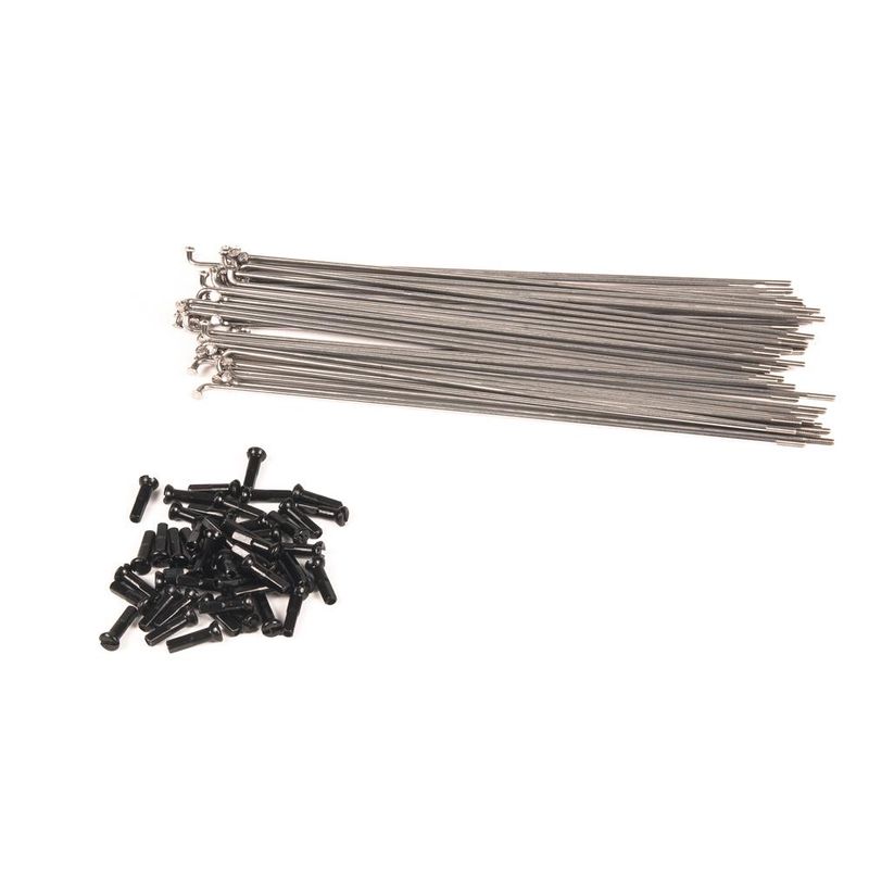 ECLAT PG (PLAIN GAUGE) SPOKES