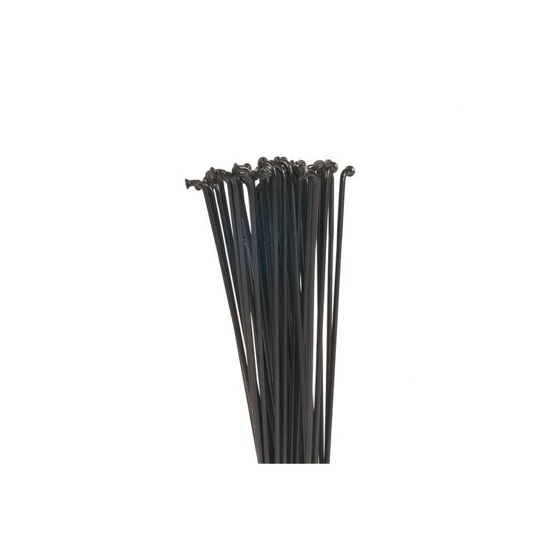 ECLAT PG (PLAIN GAUGE) SPOKES