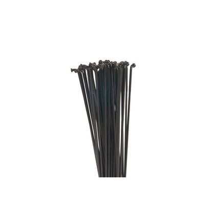 ECLAT PG (PLAIN GAUGE) SPOKES