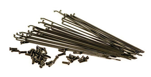 MacNeil Spokes Macneil