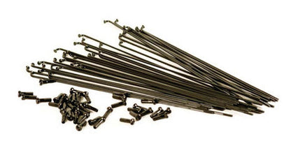 MacNeil Spokes Macneil