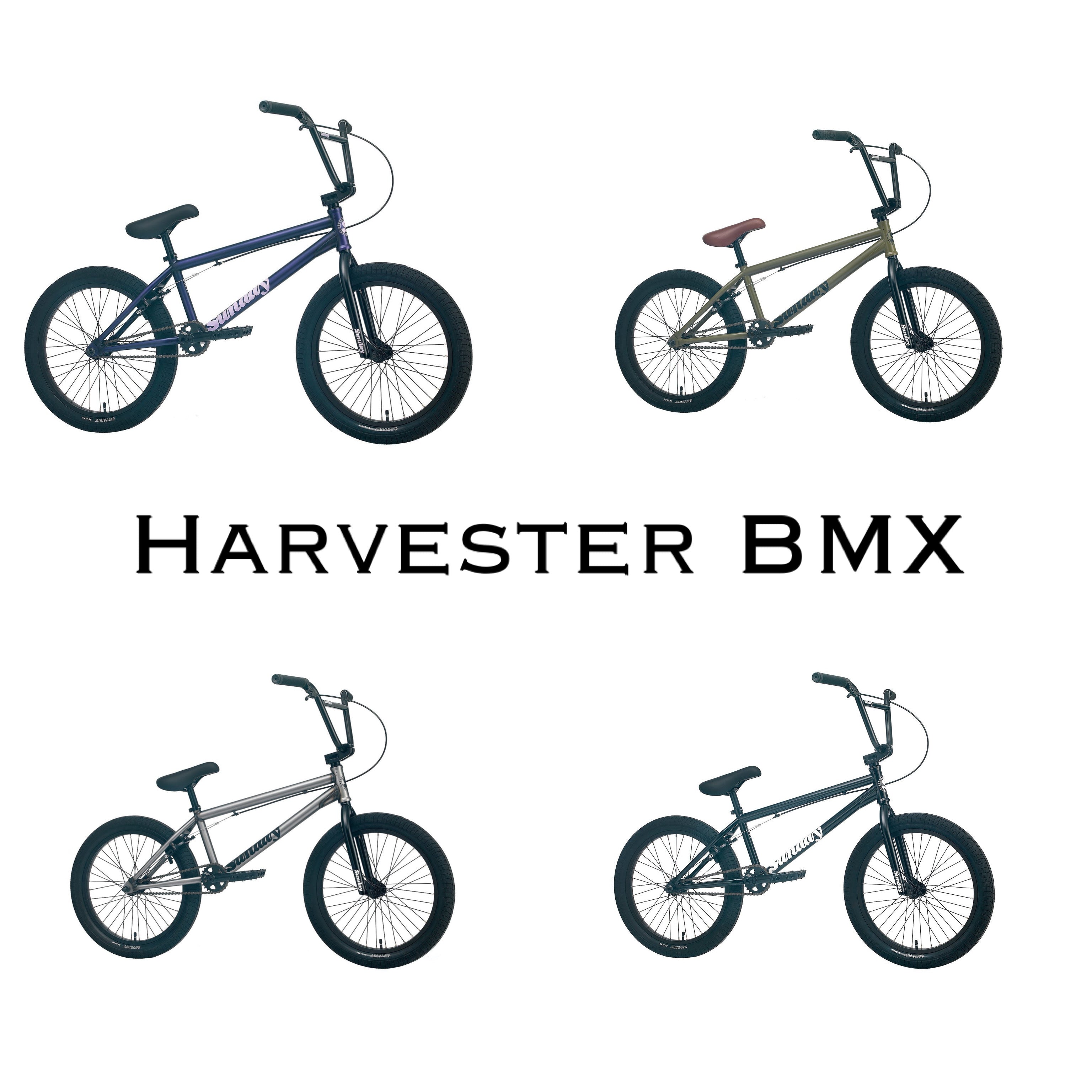 2022 Sunday Scout – Harvester Bikes