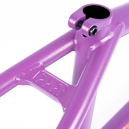 Cult 2-Short Panza Frame / Purps