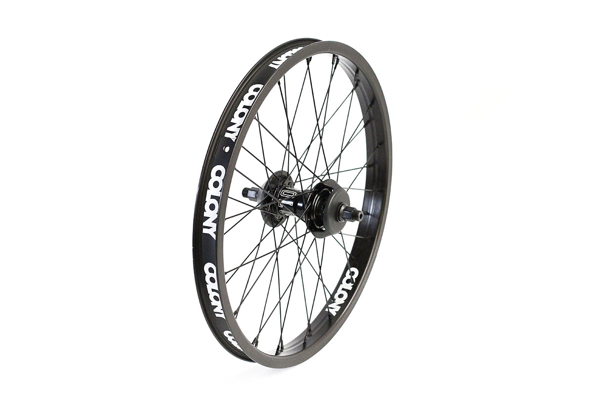 Colony "Pintour Freecoaster" 36 Rear Wheel LHD